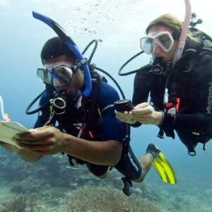 Advanced Diving Course – 3 Nights Accommodation