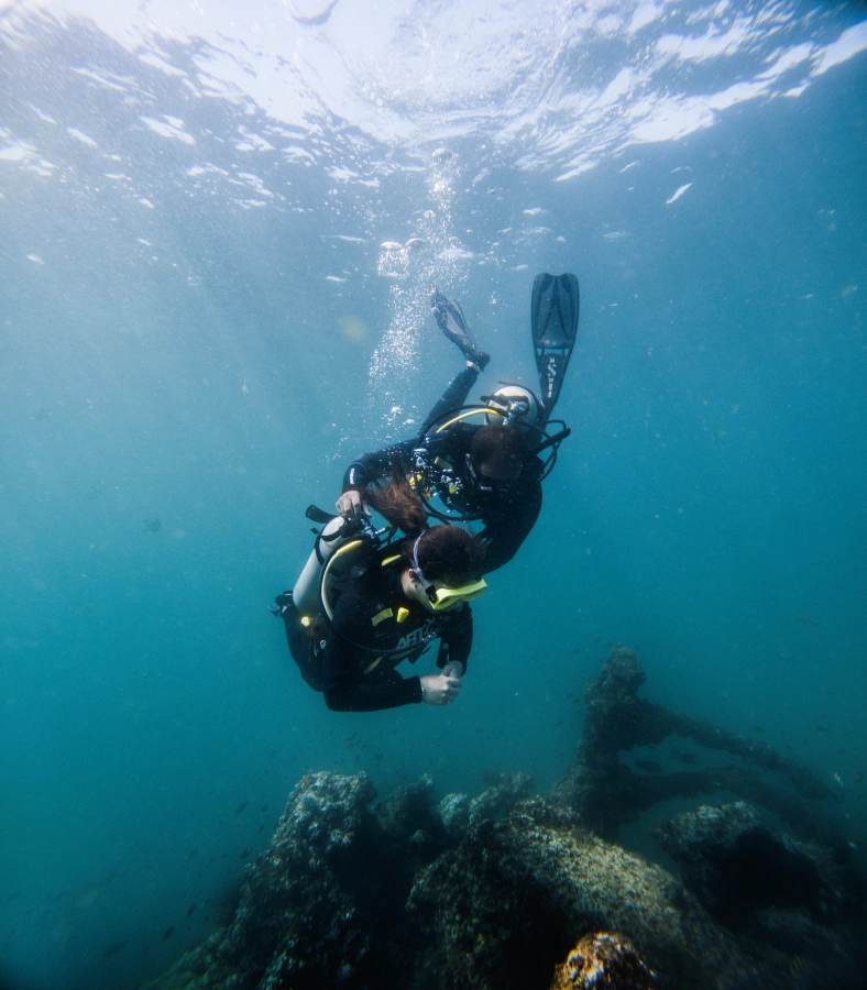 Open Water Diving Course plus Accommodation