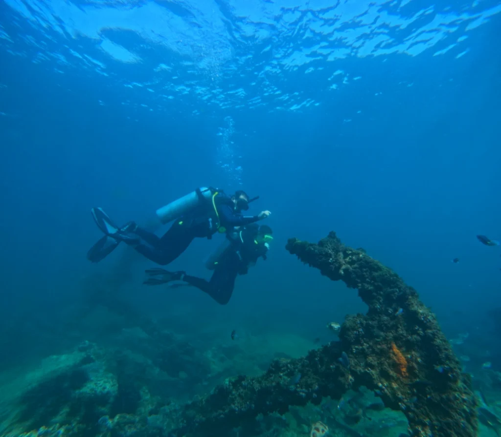 3 Dives plus 3 Nights Accommodation