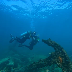 3 Dives plus 3 Nights Accommodation