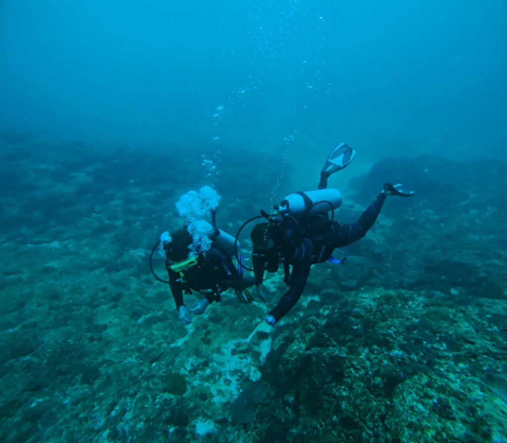 discover scuba diving with stay