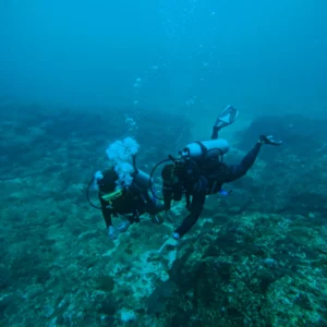 discover scuba diving with stay