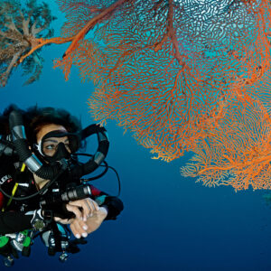 5 Dives + 2 Nights – Zuhair Mirbat House