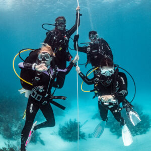 7 Dives + 3 Nights – Zuhair Mirbat House